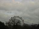 Ferris Wheel.jpg